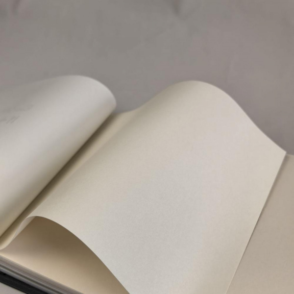 Milassa Ambient AM3 102 Milassa Ambient AM3 102