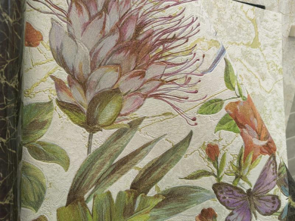 Zambaiti Parati Philipp Plein Z 80012