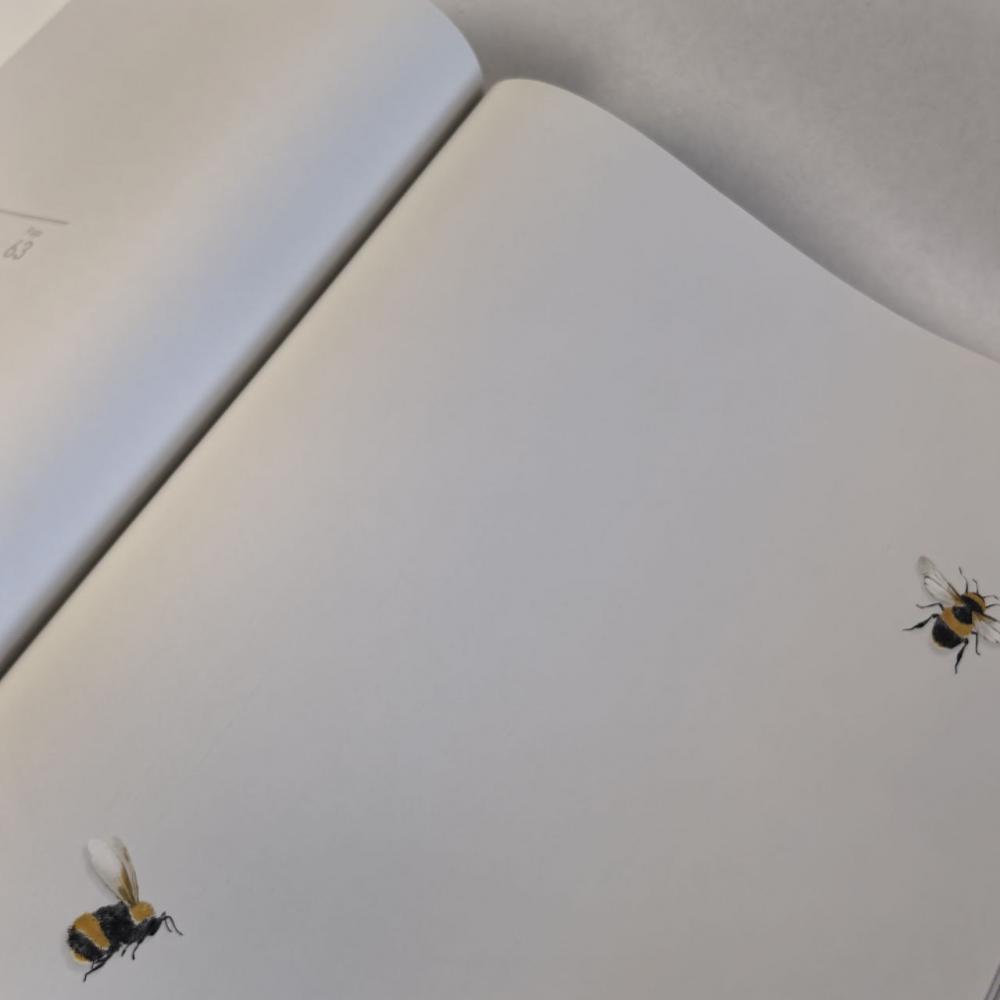 Andrea Rossi Cavolli 54419-2 Andrea Rossi Cavolli 54419-2