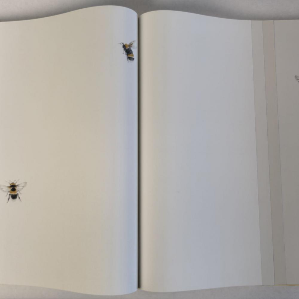 Andrea Rossi Cavolli 54418-1 Andrea Rossi Cavolli 54418-1