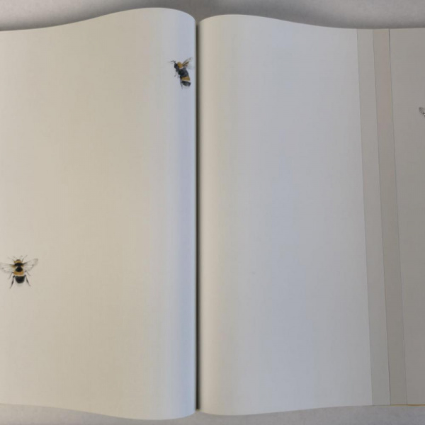 Andrea Rossi Cavolli 54418-1 Andrea Rossi Cavolli 54418-1