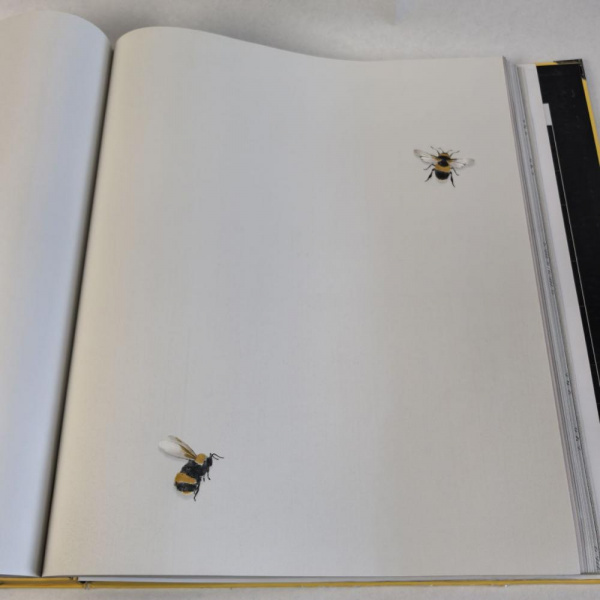 Andrea Rossi Cavolli 54419-2 Andrea Rossi Cavolli 54419-2