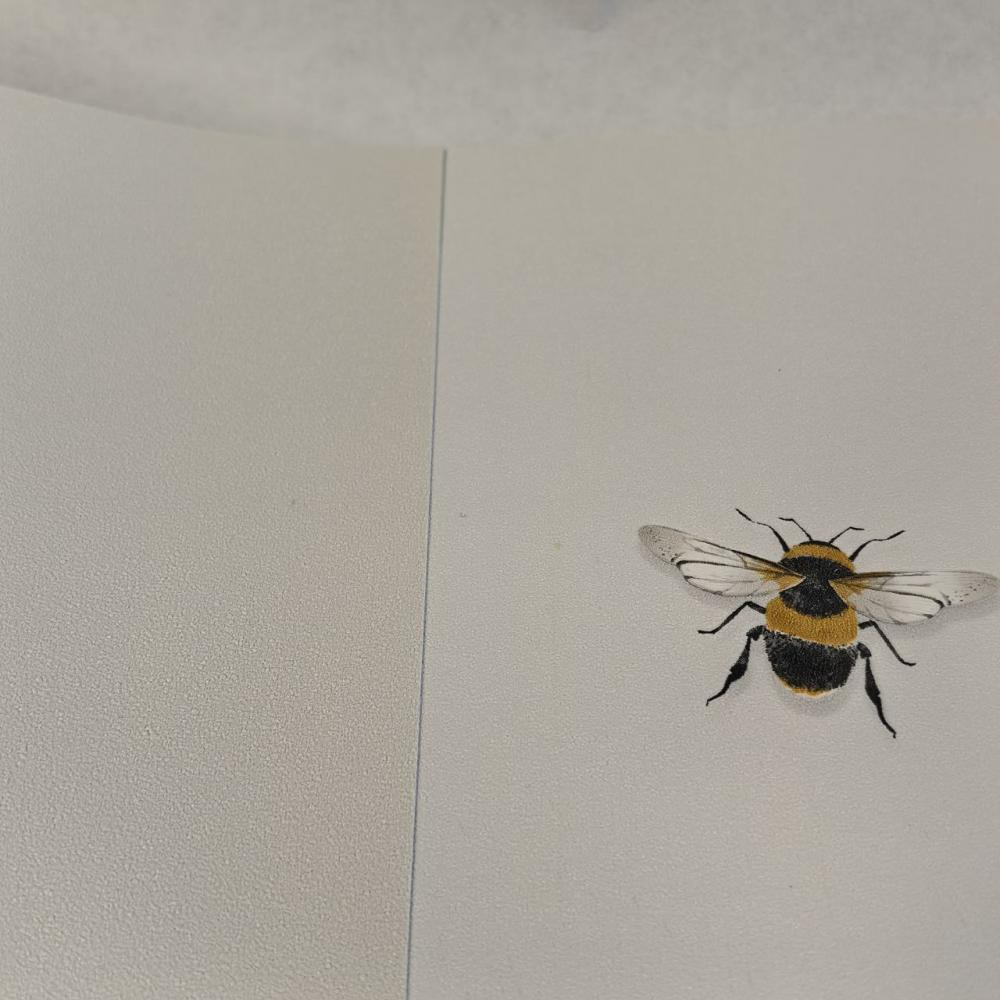 Andrea Rossi Cavolli 54419-2 Andrea Rossi Cavolli 54419-2