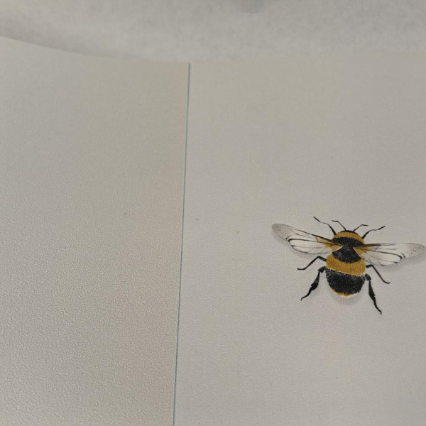 Andrea Rossi Cavolli 54419-2 Andrea Rossi Cavolli 54419-2