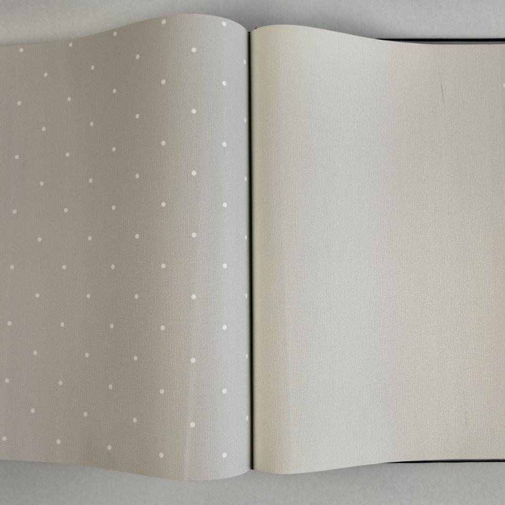 Andrea Rossi Spectrum Box 54455-2