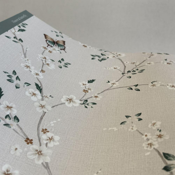 Andrea Rossi Spectrum Box 54460-2